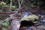 2008_10_30_Mult_Falls_12mi_0360