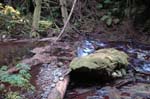 2008_10_30_Mult_Falls_12mi_0361