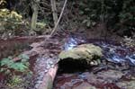 2008_10_30_Mult_Falls_12mi_0362