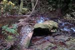 2008_10_30_Mult_Falls_12mi_0363