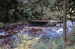 2008_10_30_Mult_Falls_12mi_0364