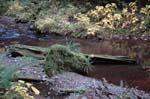 2008_10_30_Mult_Falls_12mi_0365
