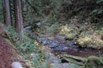 2008_10_30_Mult_Falls_12mi_0366