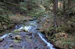 2008_10_30_Mult_Falls_12mi_0367