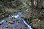 2008_10_30_Mult_Falls_12mi_0368