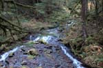 2008_10_30_Mult_Falls_12mi_0369