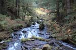 2008_10_30_Mult_Falls_12mi_0370