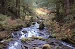 2008_10_30_Mult_Falls_12mi_0371