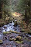 2008_10_30_Mult_Falls_12mi_0372