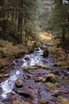 2008_10_30_Mult_Falls_12mi_0373