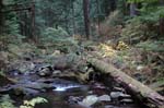 2008_10_30_Mult_Falls_12mi_0374
