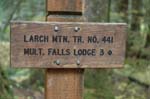 2008_10_30_Mult_Falls_12mi_0375