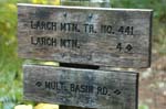 2008_10_30_Mult_Falls_12mi_0376