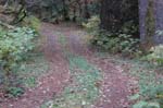 2008_10_30_Mult_Falls_12mi_0377
