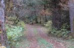 2008_10_30_Mult_Falls_12mi_0378