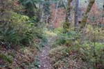 2008_10_30_Mult_Falls_12mi_0379
