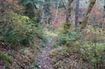 2008_10_30_Mult_Falls_12mi_0380