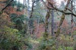 2008_10_30_Mult_Falls_12mi_0381