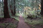 2008_10_30_Mult_Falls_12mi_0382