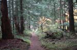 2008_10_30_Mult_Falls_12mi_0383