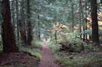 2008_10_30_Mult_Falls_12mi_0384