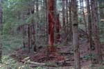 2008_10_30_Mult_Falls_12mi_0385