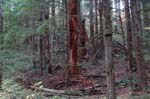 2008_10_30_Mult_Falls_12mi_0386