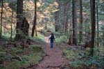 2008_10_30_Mult_Falls_12mi_0387