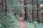 2008_10_30_Mult_Falls_12mi_0391