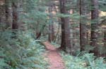2008_10_30_Mult_Falls_12mi_0392