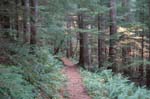2008_10_30_Mult_Falls_12mi_0393