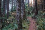 2008_10_30_Mult_Falls_12mi_0395