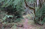 2008_10_30_Mult_Falls_12mi_0399