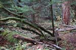 2008_10_30_Mult_Falls_12mi_0400