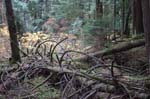2008_10_30_Mult_Falls_12mi_0405