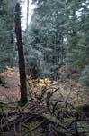 2008_10_30_Mult_Falls_12mi_0408