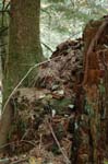 2008_10_30_Mult_Falls_12mi_0411