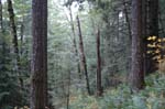 2008_10_30_Mult_Falls_12mi_0422