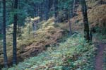 2008_10_30_Mult_Falls_12mi_0424