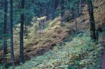 2008_10_30_Mult_Falls_12mi_0425