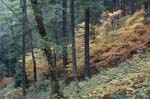 2008_10_30_Mult_Falls_12mi_0426