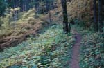 2008_10_30_Mult_Falls_12mi_0427