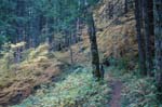 2008_10_30_Mult_Falls_12mi_0428