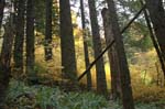 2008_10_30_Mult_Falls_12mi_0431