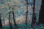 2008_10_30_Mult_Falls_12mi_0432
