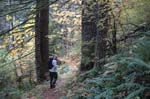 2008_10_30_Mult_Falls_12mi_0433