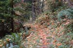 2008_10_30_Mult_Falls_12mi_0434