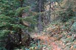 2008_10_30_Mult_Falls_12mi_0437