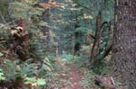 2008_10_30_Mult_Falls_12mi_0438