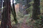 2008_10_30_Mult_Falls_12mi_0439